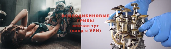 альфа пвп Беломорск