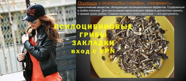 синтетический гашиш Богородицк
