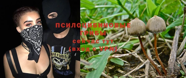 синтетический гашиш Богородицк