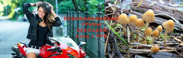 наркотики Няндома