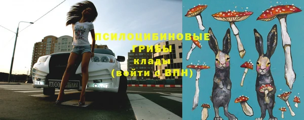 синтетический гашиш Богородицк