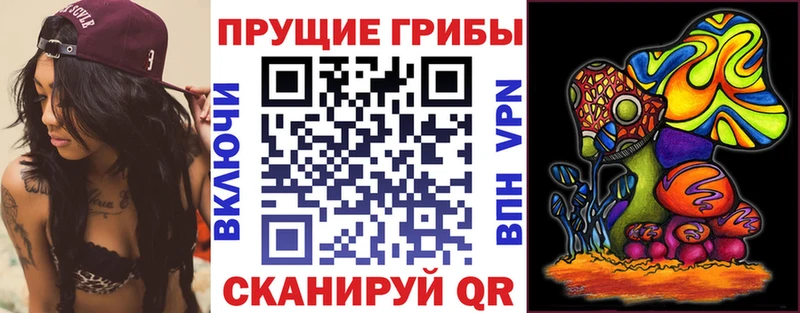 Псилоцибиновые грибы Magic Shrooms  Донецк 